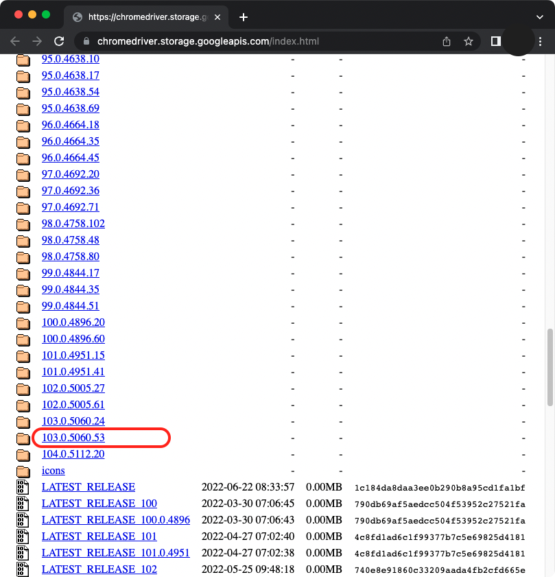 Setup Selenium for Python