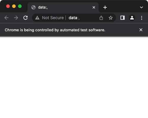 Selenium Python - Set window size to 500 pixels wide and 400 pixels height