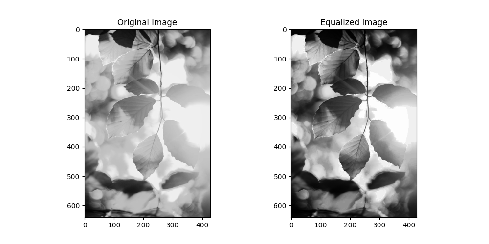 Python OpenCV - Histogram Equalization